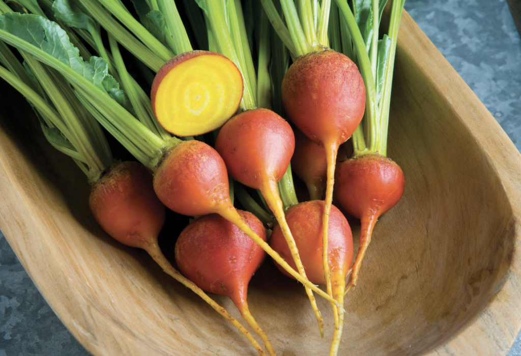 Touchstone Gold Beets Helfand Farm Community Gardens